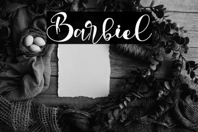 Barbiel Example 2