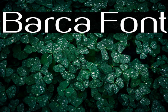 Barca Example 2