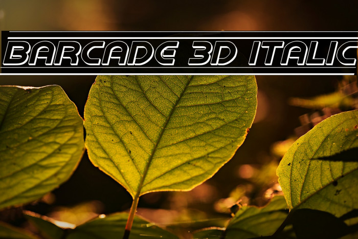 Barcade 3D Italic Font examples