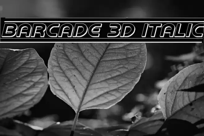 Barcade 3D Italic خط examples