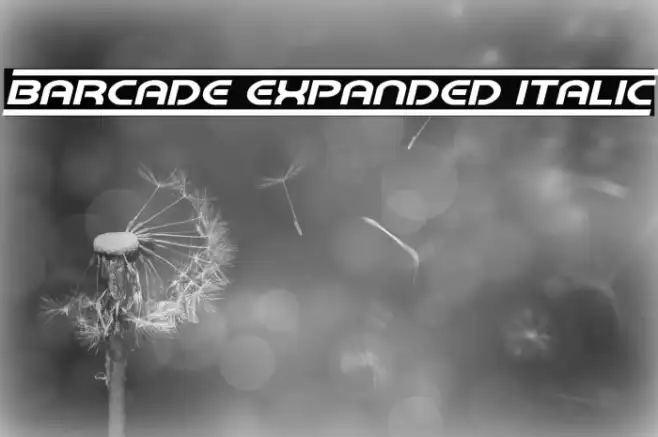 Barcade Expanded Italic Example 1
