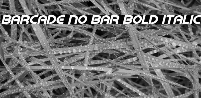 Barcade No Bar Bold Italic Font examples
