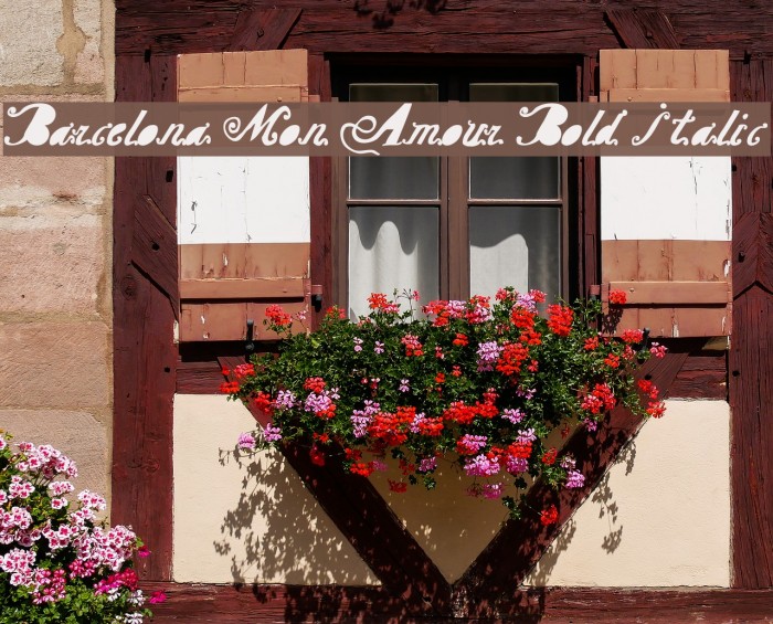Barcelona Mon Amour Bold Italic Example 3