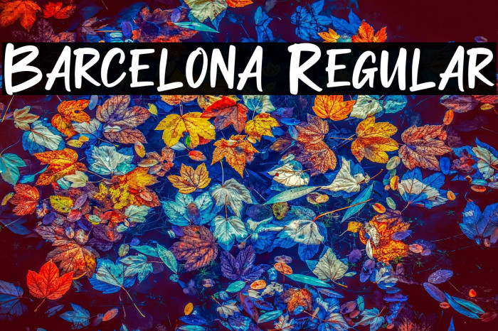 Barcelona Regular Example 1