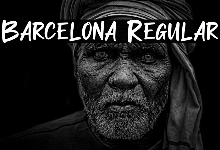 Barcelona Regular Example 3