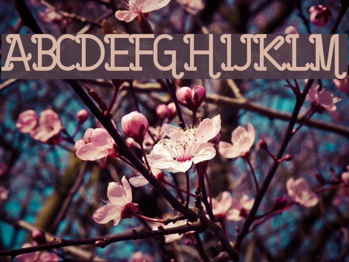 Barcelona bold Example 2