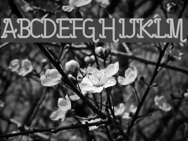 Barcelona bold Font examples