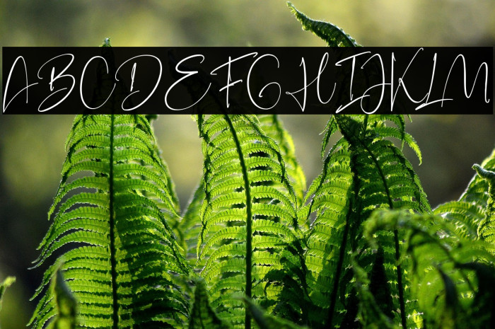 BarcelonaHistoria-Regular Example 3