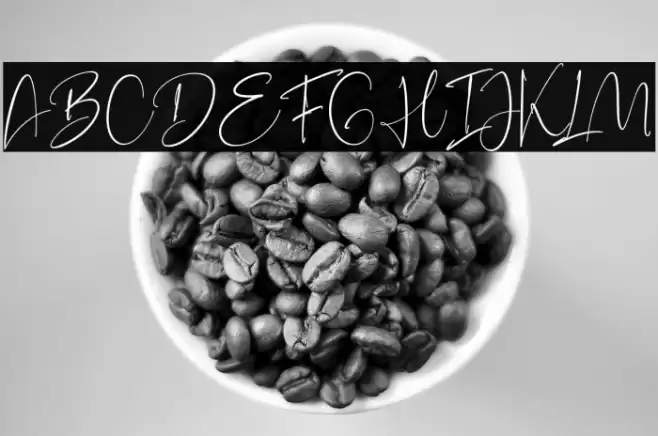 BarcelonaHistoria-Regular Font examples