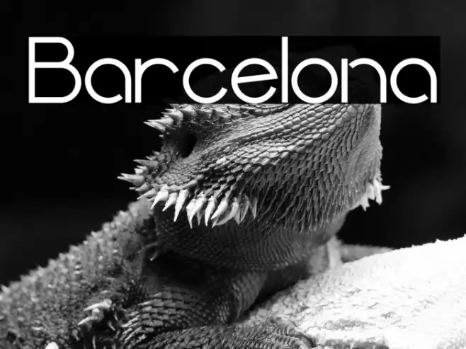 Barcelona Example 3