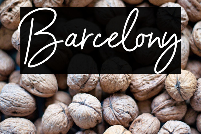 Barcelony Example 1