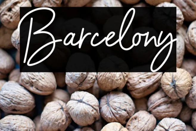 Barcelony Example 1