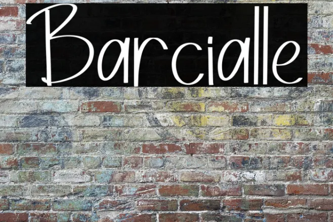 Barcialle Example 1