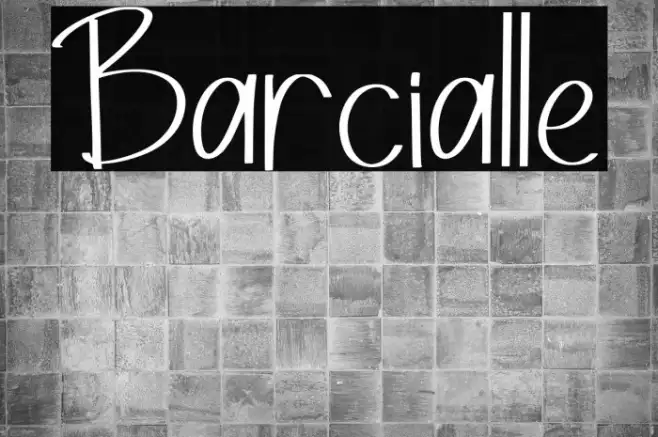 Barcialle Example 2