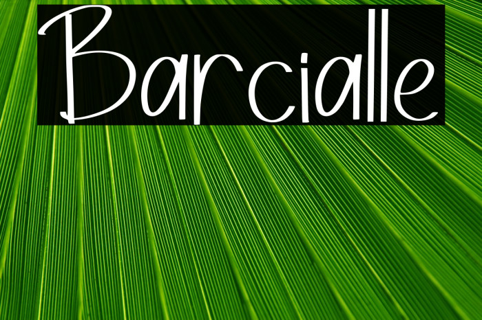 Barcialle Example 3