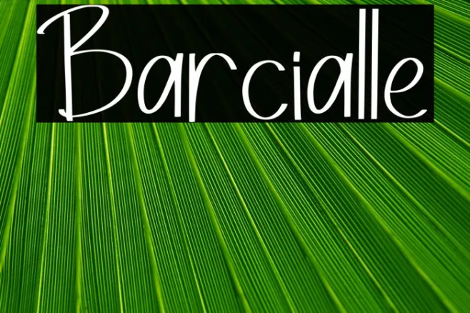 Barcialle Example 3