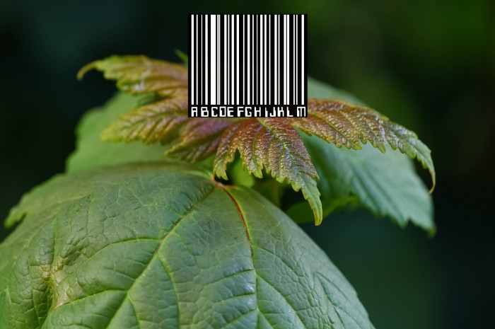 Barcoding Example 1