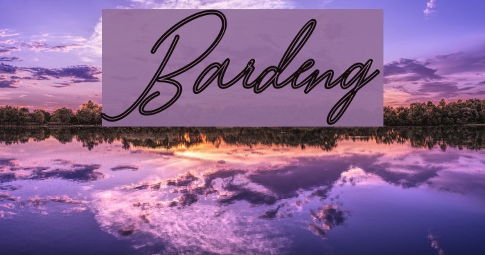 Bardeng Font examples