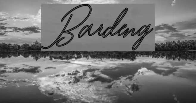 Bardeng Example 1