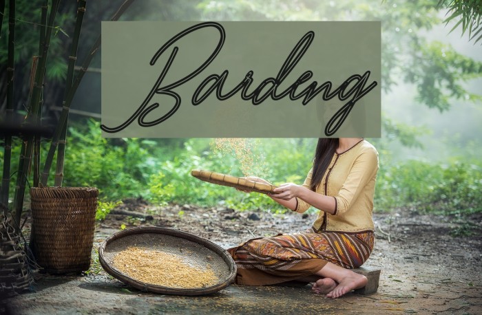 Bardeng Font examples