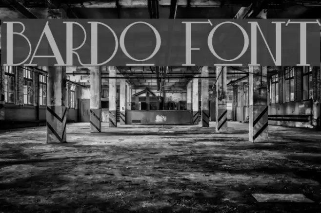 Bardo Font examples