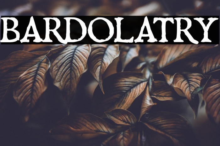 Bardolatry Example 1