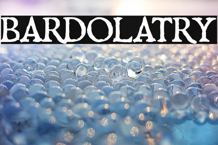 Bardolatry Example 2
