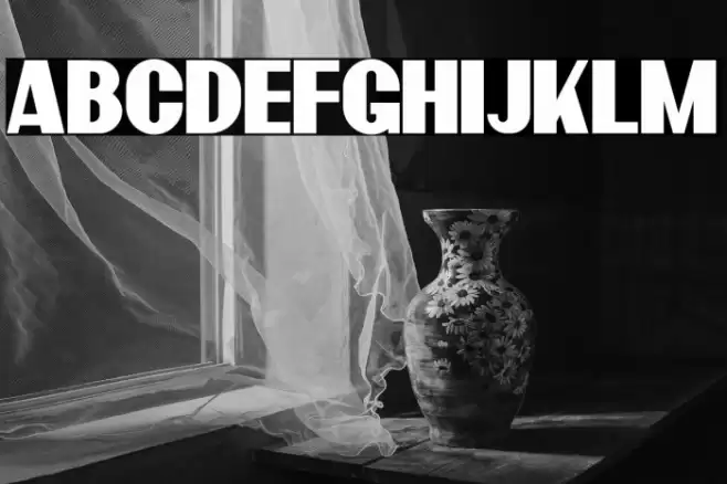 BardonDemo-Clean Font examples