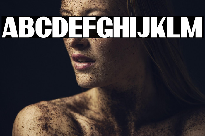 BardonDemo-Clean Example 2