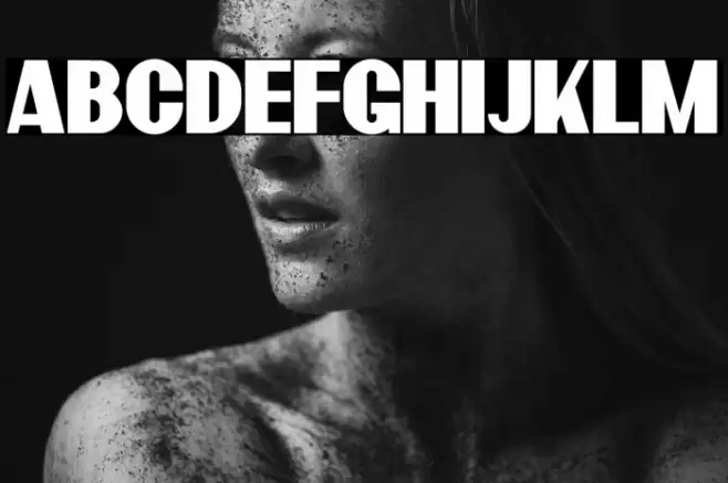 BardonDemo-Clean Font examples