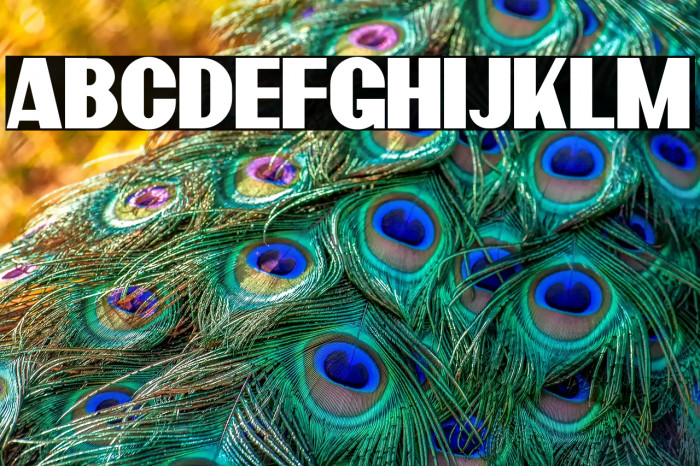 BardonDemo-Clean Example 3