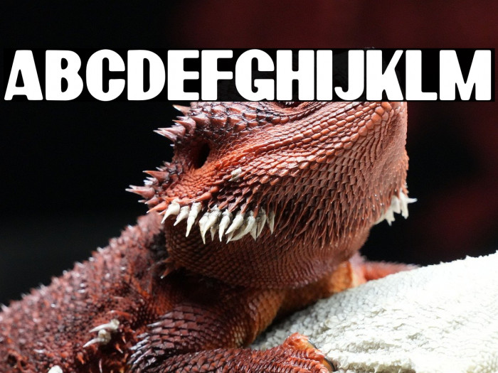 BardonRoundedDemo-Rounded Example 2