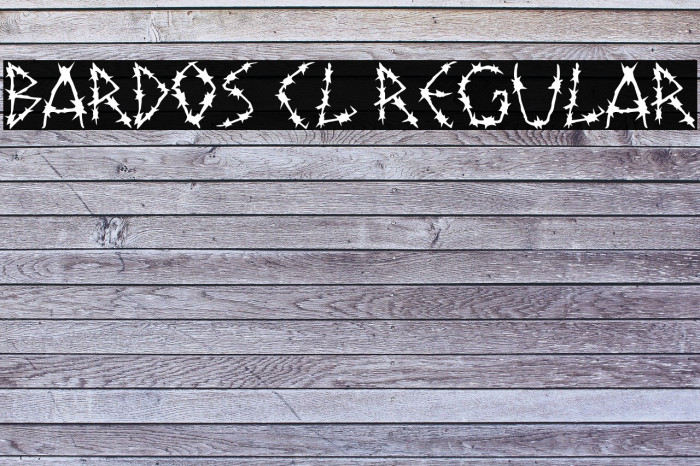 Bardos Cl Regular Font examples