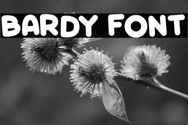 Bardy Example 1