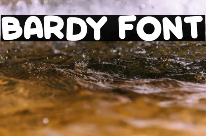 Bardy Example 2