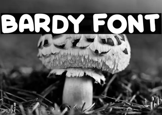 Bardy Example 3