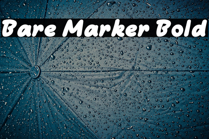 Bare Marker Bold Example 2