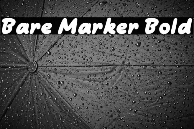 Bare Marker Bold Caratteri examples