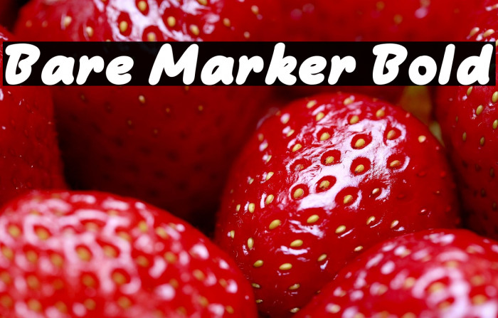 Bare Marker Bold Example 3
