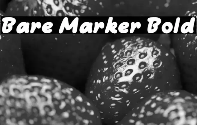 Bare Marker Bold Caratteri examples