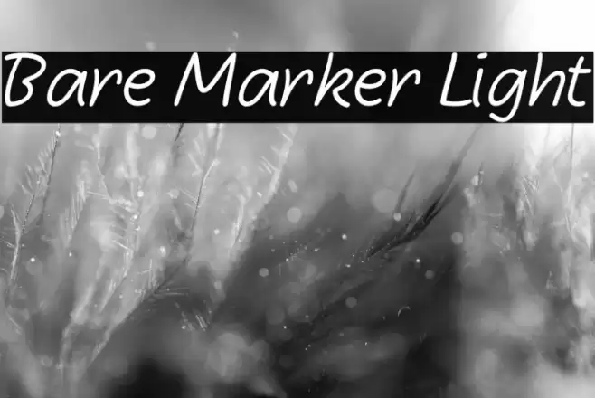 Bare Marker Light Schriftart examples