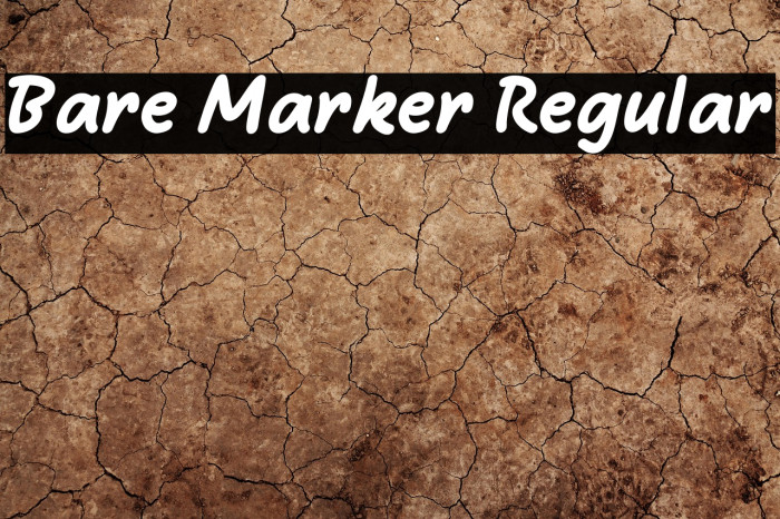 Bare Marker Regular Example 1