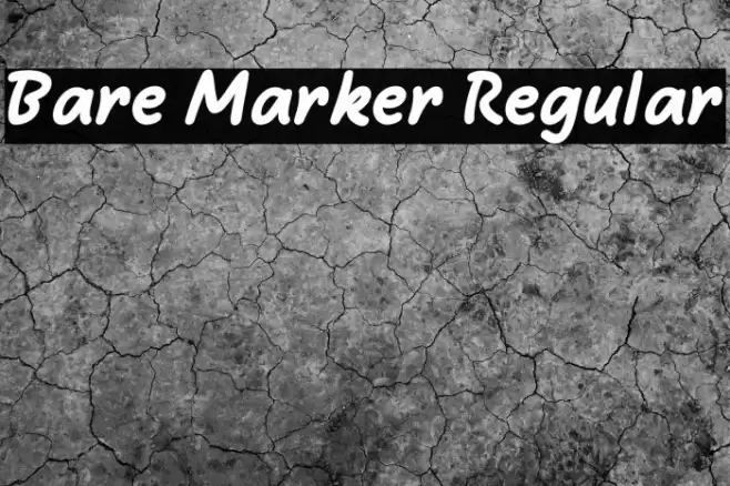 Bare Marker Regular Caratteri examples