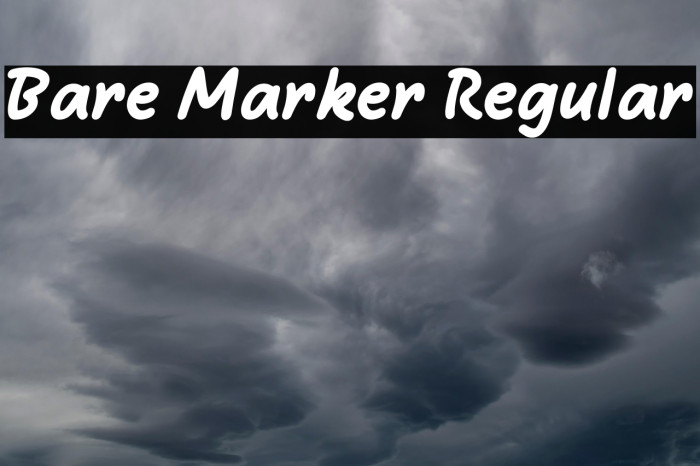 Bare Marker Regular Example 2