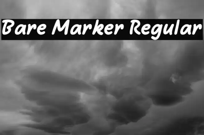 Bare Marker Regular Caratteri examples