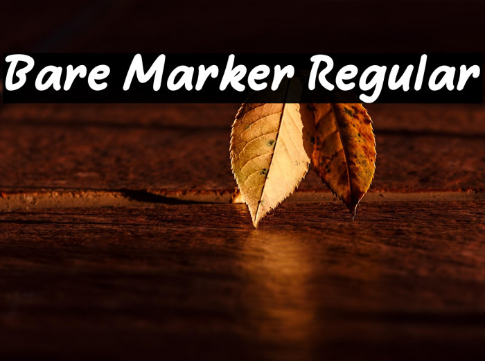 Bare Marker Regular Example 3