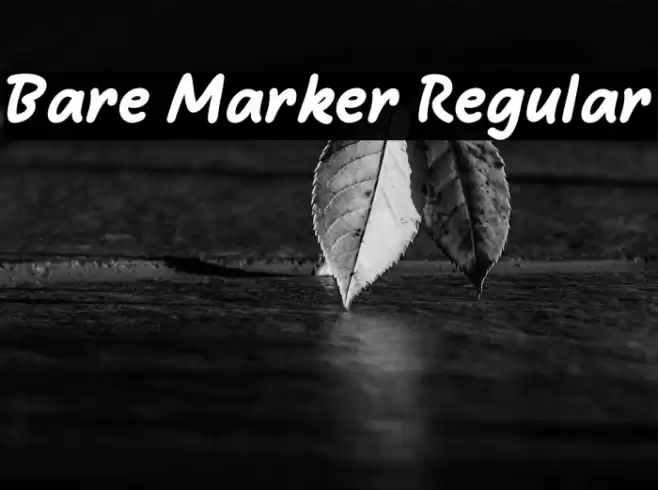 Bare Marker Regular Caratteri examples