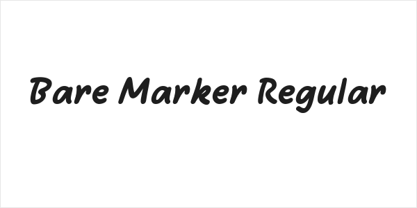Bare Marker Regular Logo