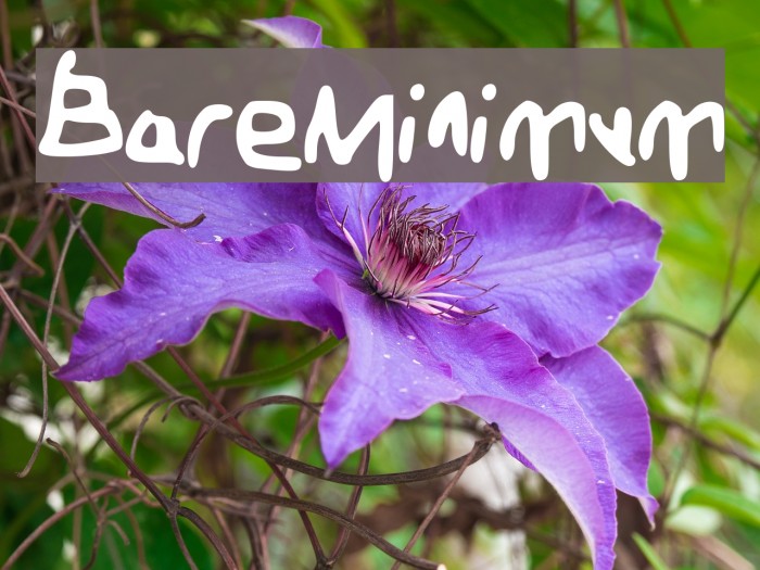 BareMinimum Font examples