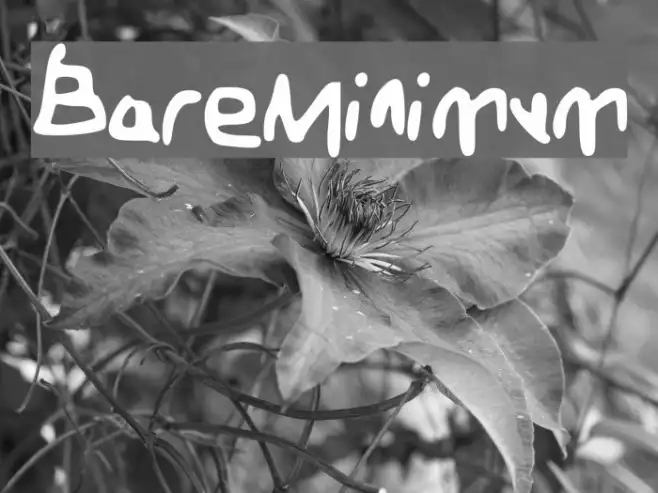 BareMinimum Example 3